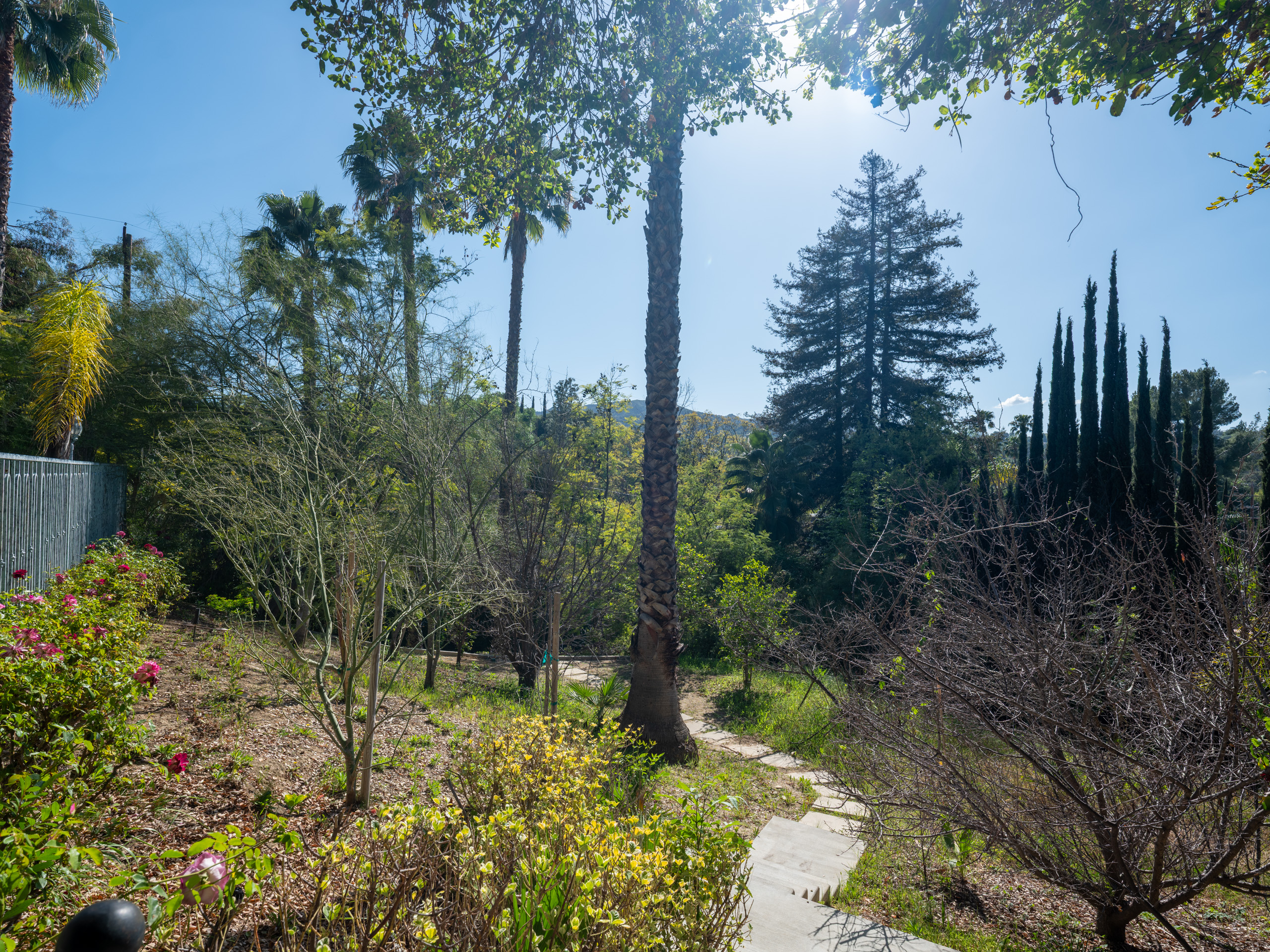 DSCF2122-HDR.jpg